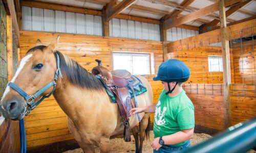 Fall Equine Sessions at Overton Arena