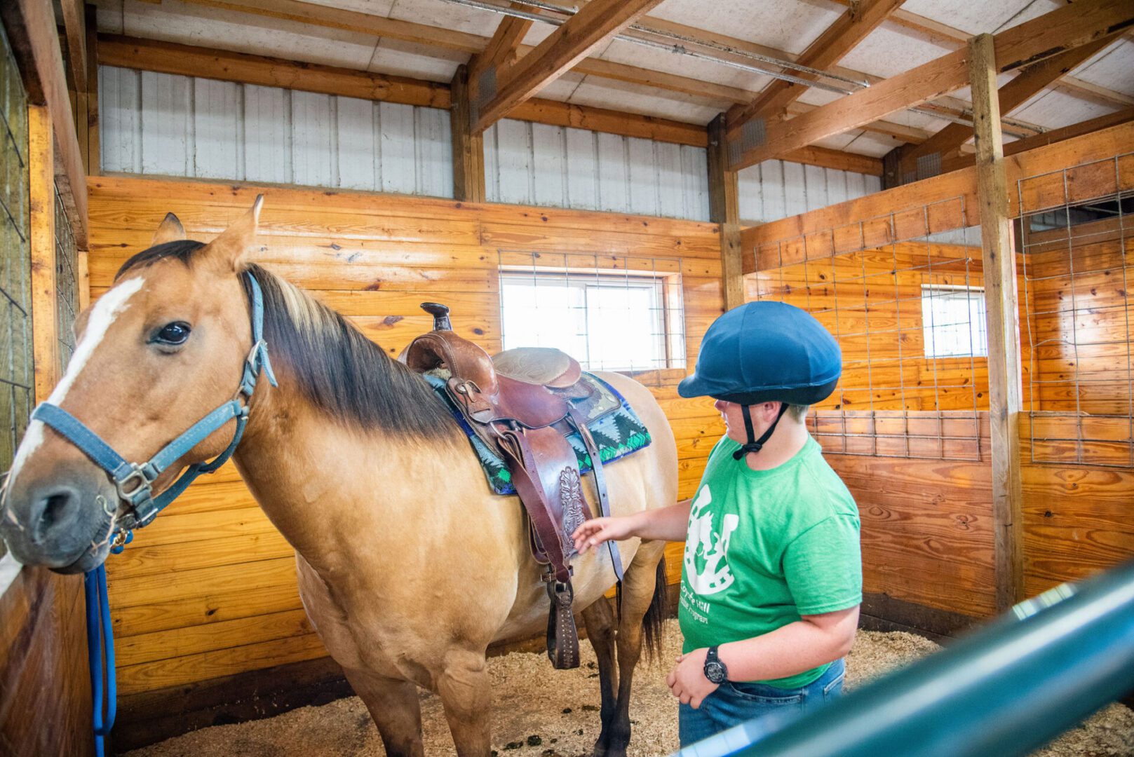 Fall Equine Sessions at Overton Arena